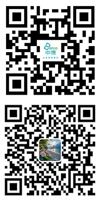 Código QR Código QR